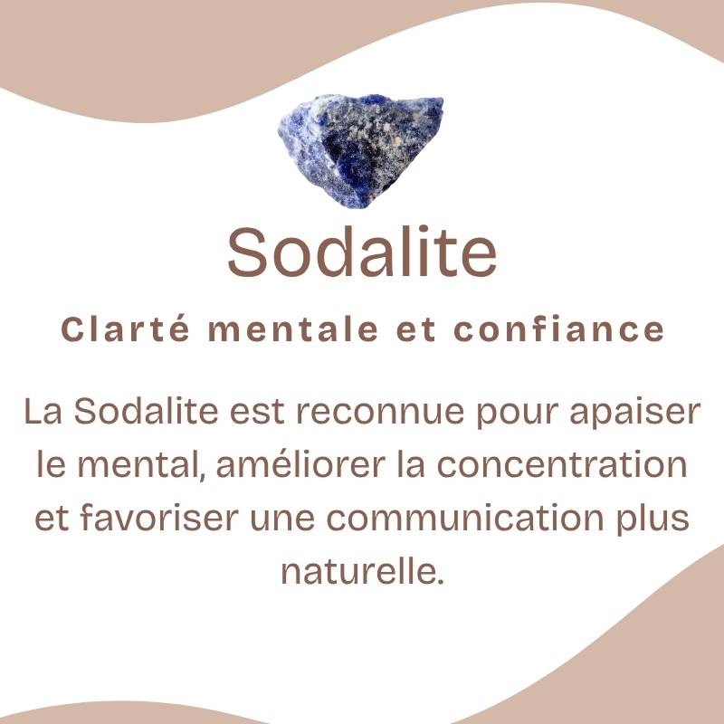 Pendentif "Maîtrise" Goutte en Sodalite